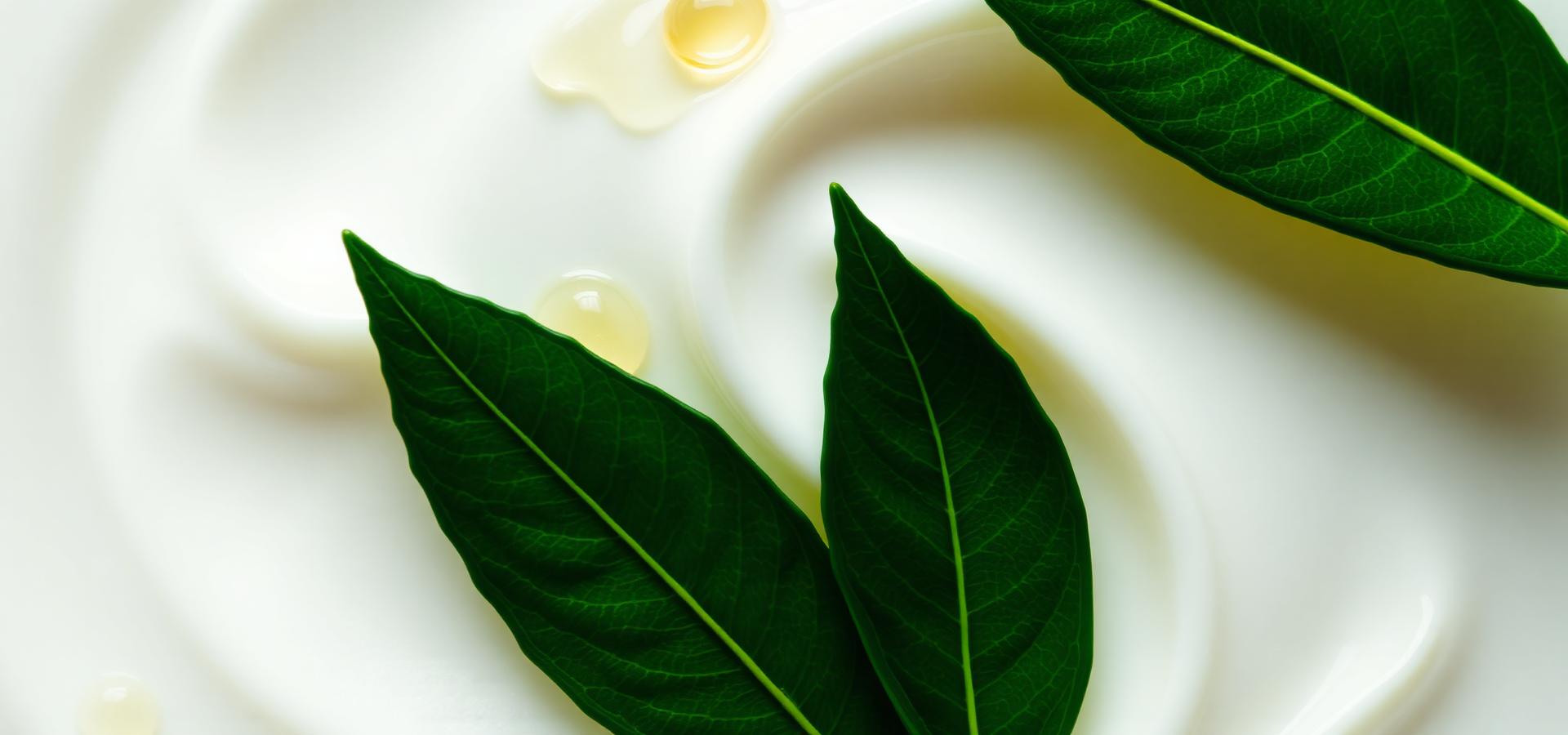 Luxury cream texture with botanical leaves